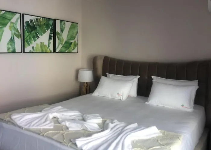 Gama 3* 로제넷츠